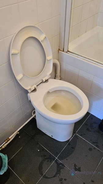  verstopping toilet Hoofddorp